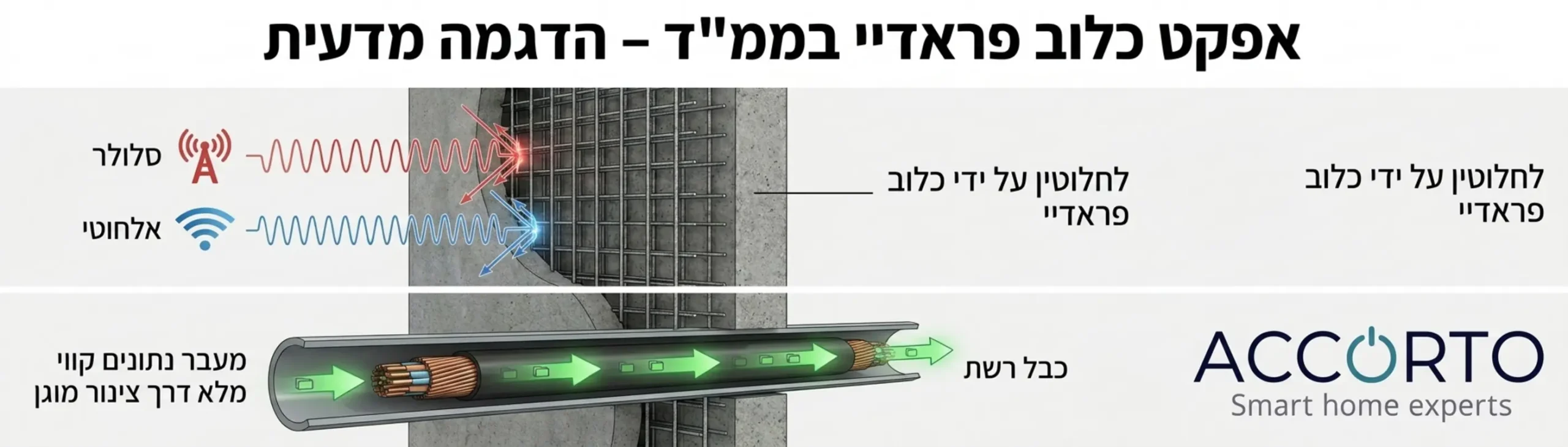 אינפוגרפיקה מדעית המציגה את אפקט כלוב פראדיי בממ